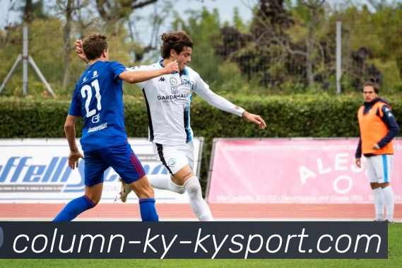 开云APP 高清赛事图